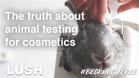 is chanel animal testing